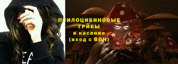 герыч Елабуга