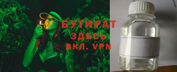 2c-b Ельня