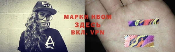 2c-b Ельня
