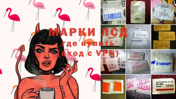 трава Елизово